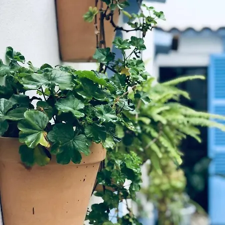 Ithaka Petit Holiday home Arta