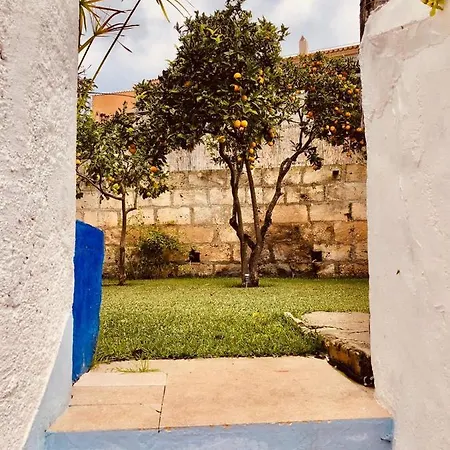Ithaka Petit Holiday home Arta